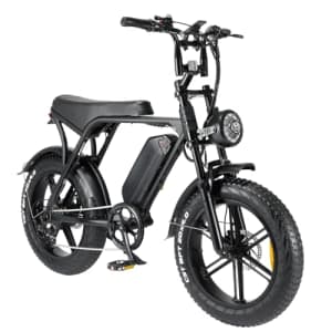 Ronson Electric Bicycle, Adult Electric Bike 750W 48V 15AH Removable Battery Electric Bicycle, for $999