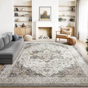 Marsail 8x10-Foot Vintage Area Rug for $55