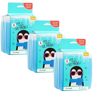 Fit & Fresh Cool Coolers Slim Ice Pack 12-Pack for $18