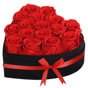 Woyoo 16-Piece Preserved Rose Gift Set for $18 Woyoo 16-Piece Preserved Rose Gift Set for $18