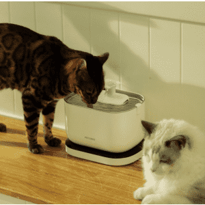 Petlibro Dockstream Cordless Fountain for $38 Petlibro Dockstream Cordless Fountain for $38