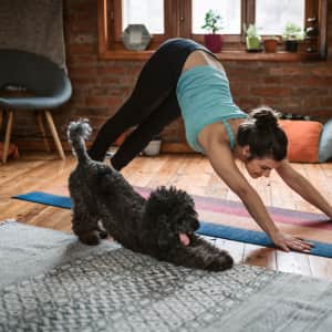 Chewy Promo Code: $20 Off Coupon in June 2025