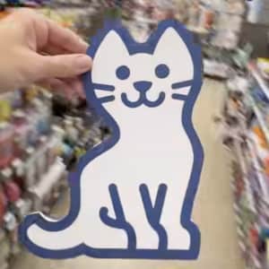 Petco Find Mews Challenge: Find the cat to win something in store Petco Find Mews Challenge: Find the cat to win something in store