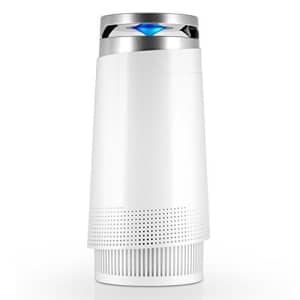 Tenergy Renair Ionizer Air Purifier for $90