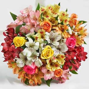 Assorted Roses & Peruvian Lilies from $40