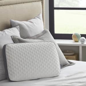 Sealy Molded Memory Foam Pillow for $31