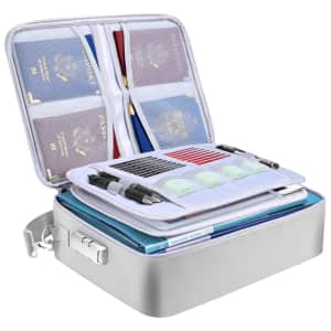 Baleine Portable Fireproof and Waterproof Document Bag with Lock for $21