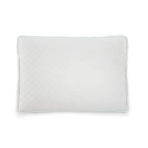 Sealy Memory Foam Cluster Standard Pillow for $20 Sealy Memory Foam Cluster Standard Pillow for $20