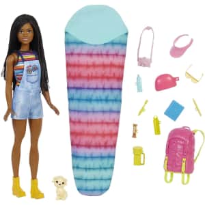 Barbie It Takes Two "Brooklyn" Camping Doll w/ Puppy for $12