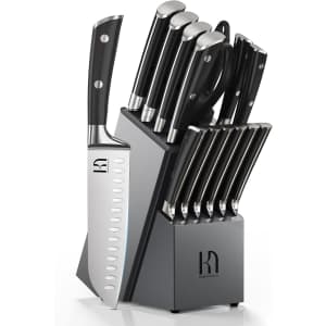 KnifeSaga 15-Piece Japanese High Carbon Stainless Steel Knife Block Set for $108