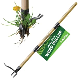 Heavy Duty 4-Claw Weed Puller Tool for $20