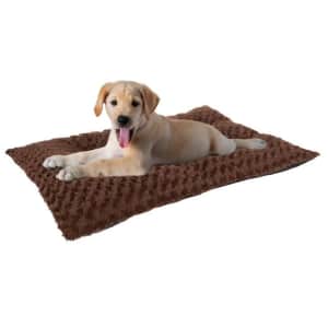 Pet Beds at Lowe's: Up to 30% off