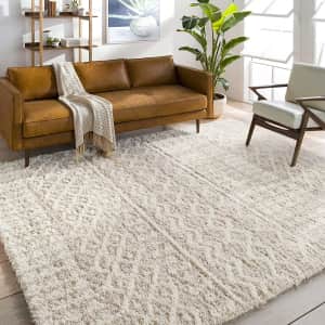 Rugs at Amazon: Up to 79% off
