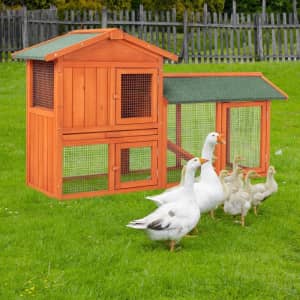 55" 2-Story Chicken Coop for $99