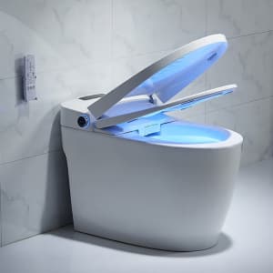 Floor Mounted Self Clean Tankless Smart Toilet for $595