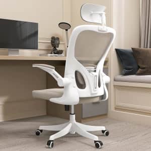Monhey Ergonomic Office Chair for $108