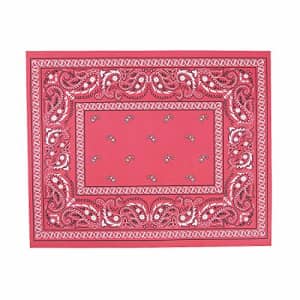 Fun Express Western Themed Paper Placemats - Red Bandana Deisgn - BBQ and Cowboy Party Supplies - Bulk set of 50 for $10