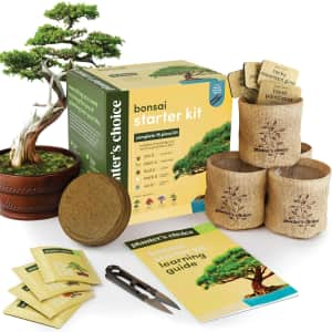 Planter's Choice Bonsai Starter Kit for $10