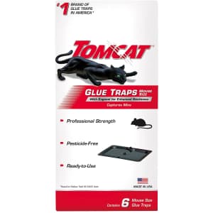 Tomcat Glue Mouse Trap 6-Pack for $4 Tomcat Glue Mouse Trap 6-Pack for $4