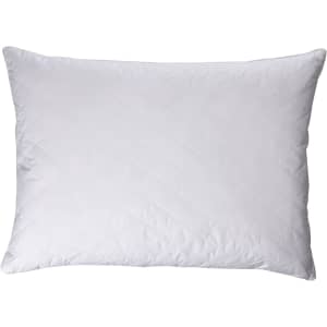 Blue Ridge White Goose Feather and Down Jumbo Gusset Pillow 2-Pack for $63