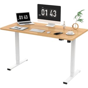 48" x 24" Electric Standing Desk for $100
