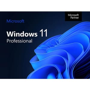 Microsoft Windows 11 Pro Lifetime License: $22.97