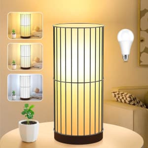 LED Metal Cage Table Lamp for $10