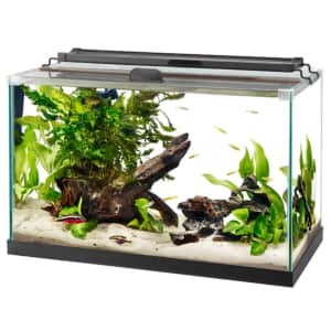 Aqueon 10-Gallon Rimless Aquarium Tank for $20