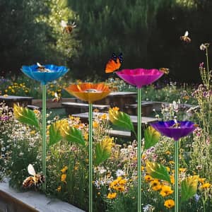 Yonisun Bee / Butterfly Watering Station 4-Pack for $13