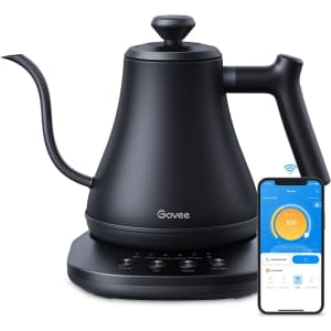 Govee Smart Electric Kettle for $80