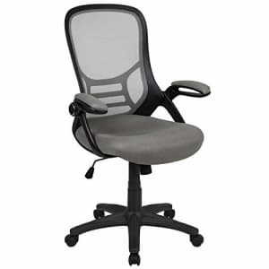 Flash Furniture High Back Light Gray Mesh Ergonomic Swivel Office Chair with Black Frame and for $108 Flash Furniture High Back Light Gray Mesh Ergonomic Swivel Office Chair with Black Frame and for $108