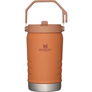 Stanley IceFlow 40-oz. Stainless Steel Water Jug for $22