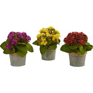 Nearly Natural Kalanchoes 3-Pack for $38