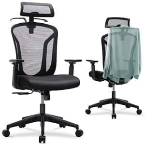 edx High-Back Mesh Office Ergonomic Desk Adjustable Headrest and Armrest Executive Computer Hanger for $159