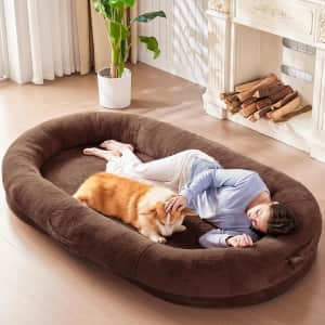 72" Human Dog Bed for $99