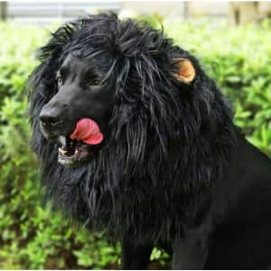 Lion Mane Wig for Dogs for $12
