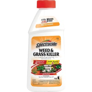 Spectracide 16-oz. Weed and Grass Killer Concentrate for $3