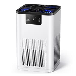 AROEVE Air Purifiers for Bedroom H13 True HEPA Air Purifier With Aromatherapy Function For Pet for $30