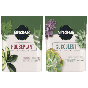 Miracle-Gro Succulent or Houseplant 4-Qt. Potting Mix for $12