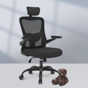 Flexispot Ergonomic Office Mesh Chair for $100 w/ Prime
