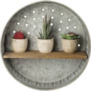 Primitives By Kathy Rustic-Inspired Wall Shelf for $23
