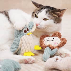 Cartoon Catnip Green Onion Plush Toys With Bell 2-Pack Green Onion Cat Toys - Catnip Plush Toys With Bell For Interactive Play Dinosaur Cat Toy