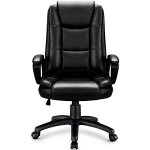 Vitesse Home Office Chair for $100