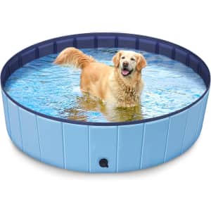 Foldable Dog Pool for $25