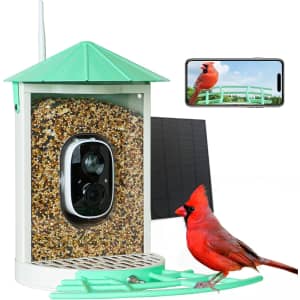 Smart Bird Feeder with Solar Panel for $52 Smart Bird Feeder with Solar Panel for $52