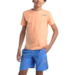 Reebok Boys' Active Shorts Set - 2 Piece Performance Short Sleeve T-Shirt and Woven Shorts - for $20