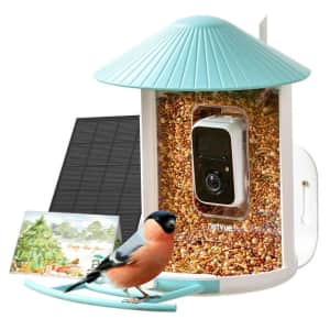 Netvue Smart Bird Feeder for $140