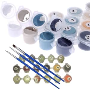 Newsight Paint by Number DIY Oil Painting Kit for $7