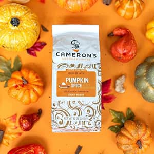 Cameron's Coffee Holiday Roasted Ground Coffee Bag, Flavored, Pumpkin Spice, 12 Ounce for $9