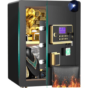 4.5-Cubic Foot Safe with Fireproof Document Bag for $110